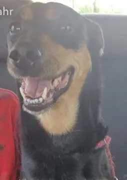 Samba