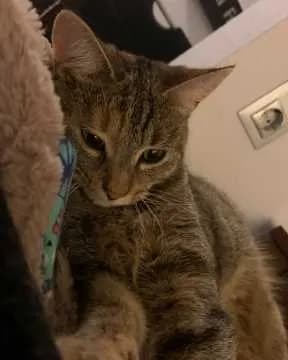 Käthe