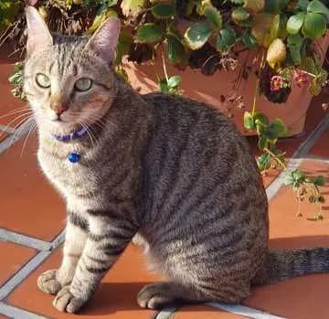 Charly
