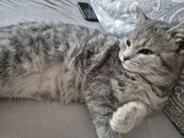 Milo