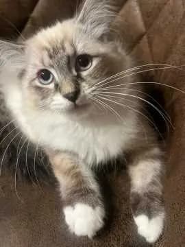 Jhonny
