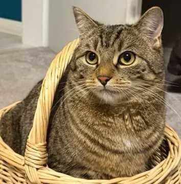 Milo