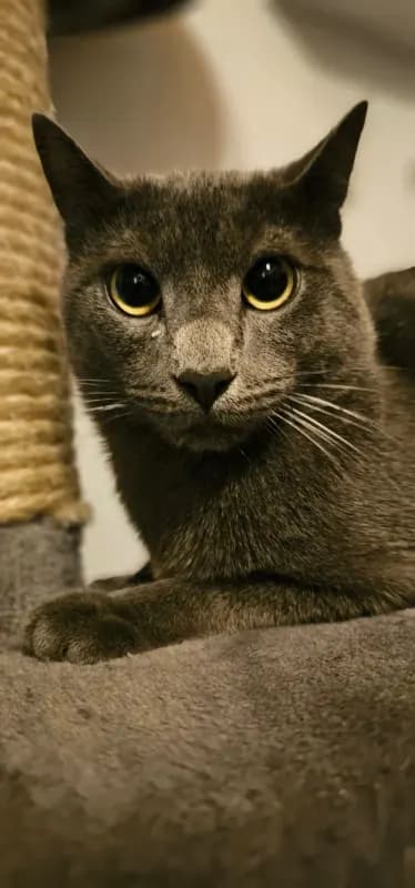 Mali