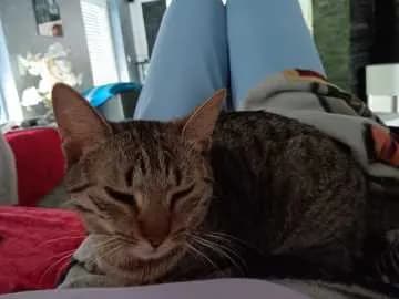 Molly