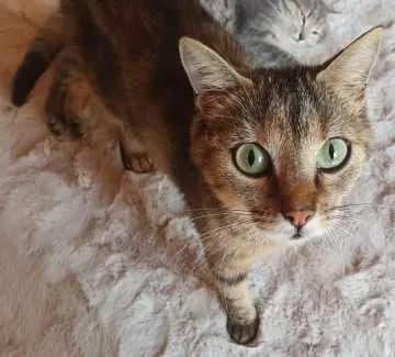 Mia