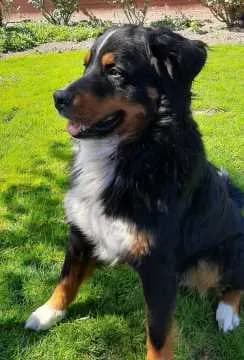 Benny