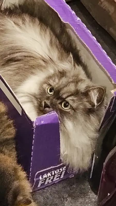 SIRIUS