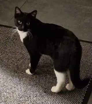 Leo