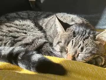 Sonntag
