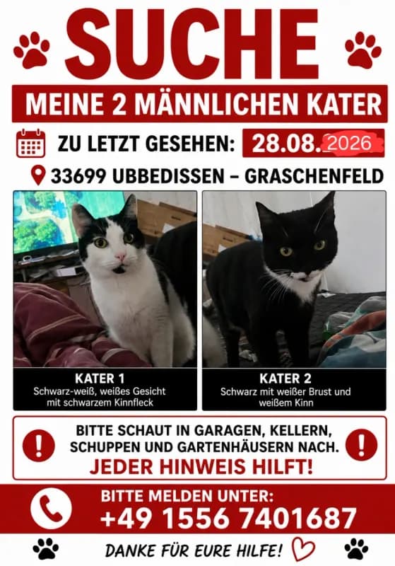 Sam und teddy