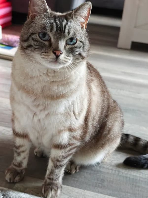 Bobby