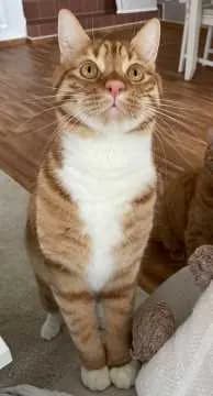Winnie