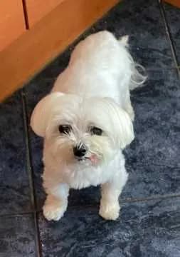 Mia