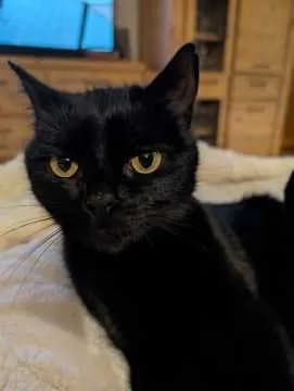 Sabrina