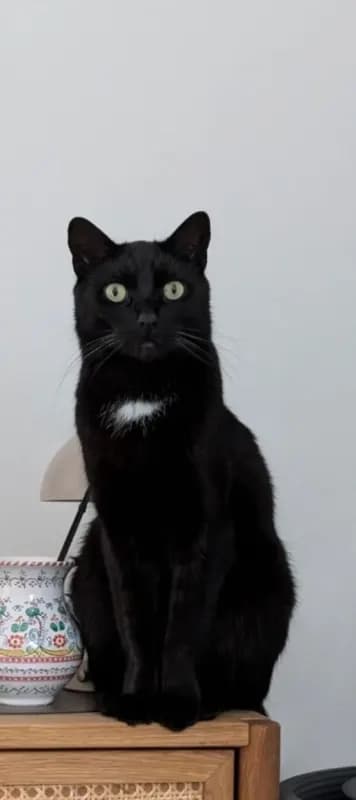 Oskar
