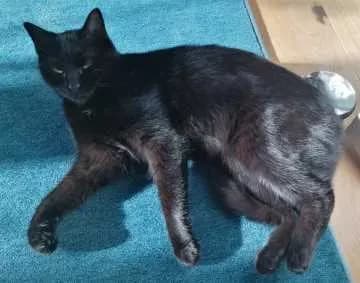 Kiki