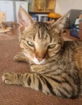 Luna