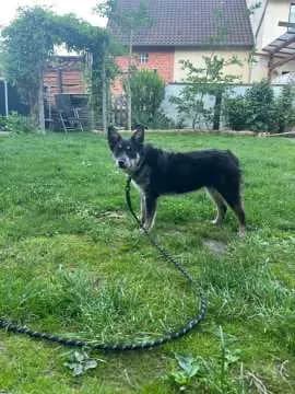 Nora