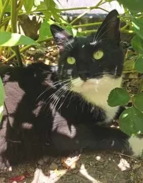 Lili
