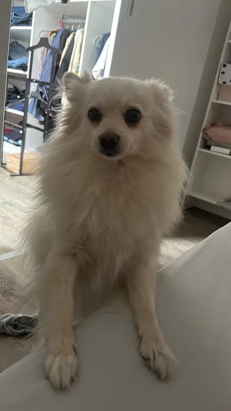 Bonnie