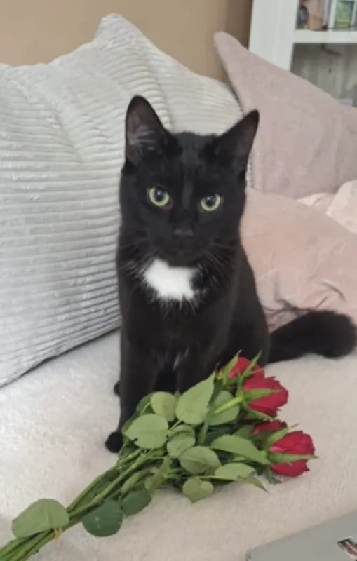 Salem