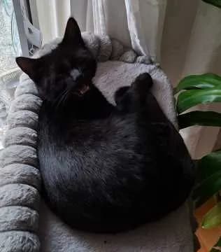 Edgar