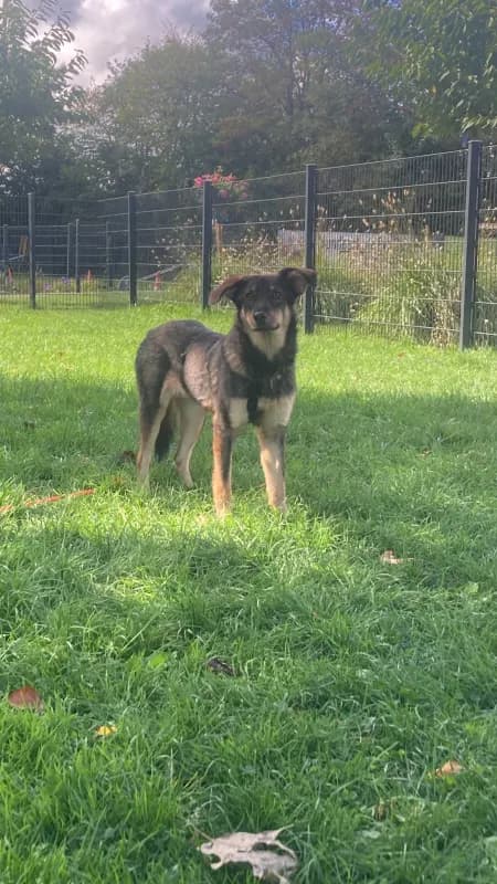 Lorka