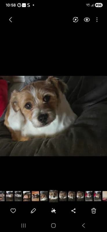 Jack