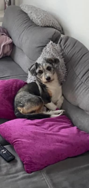 Max