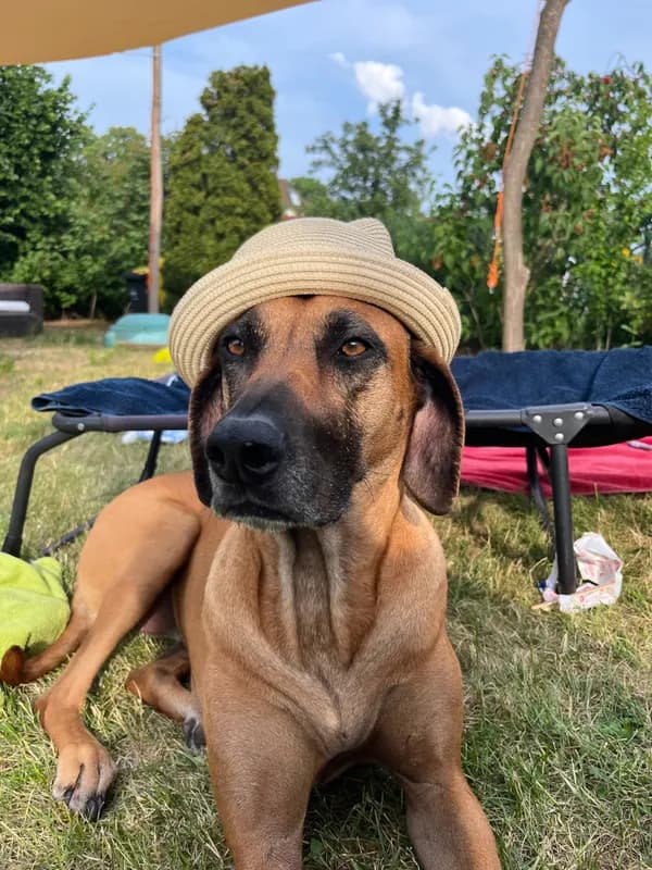 frida