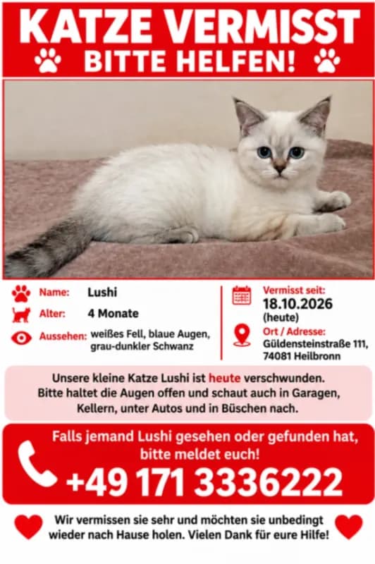 Lusi