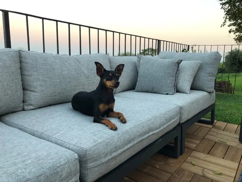 Tyson