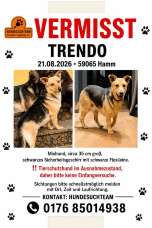 Trendo