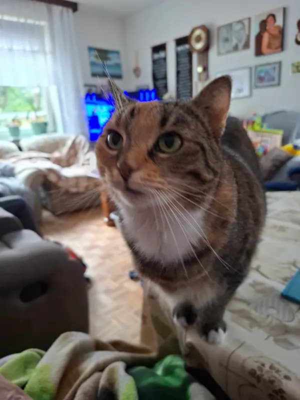 Mia