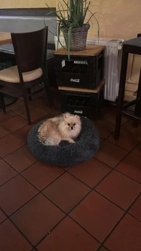 Milo