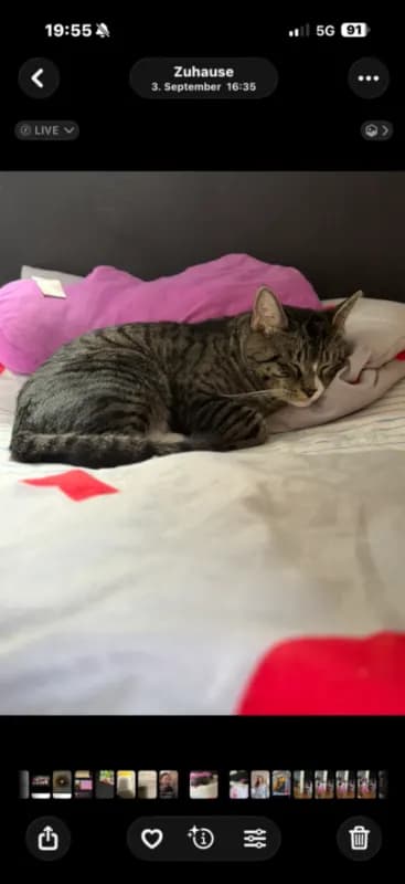 Meiki