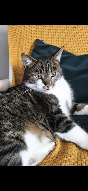 Max