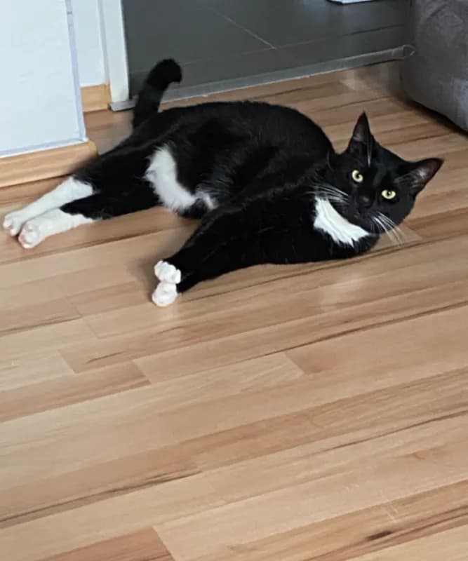 Tom