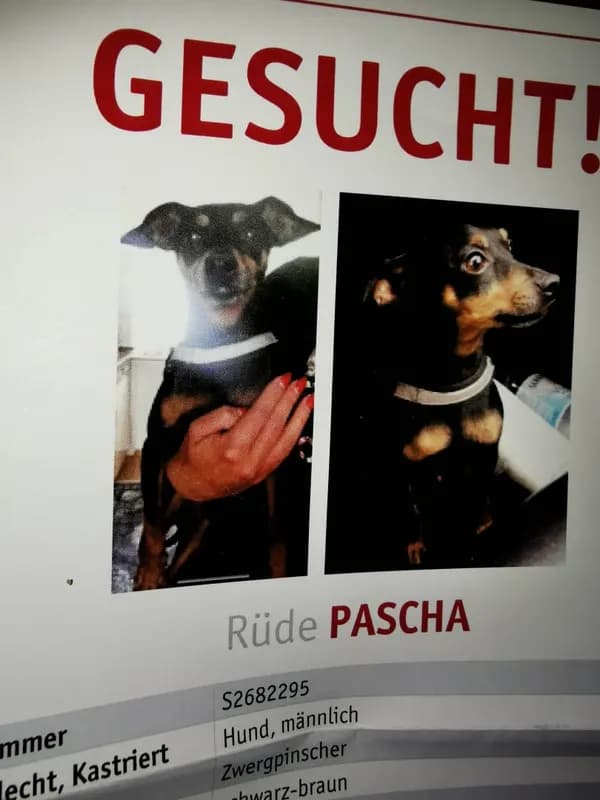 Pascha