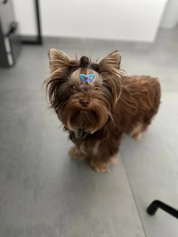 Zoe