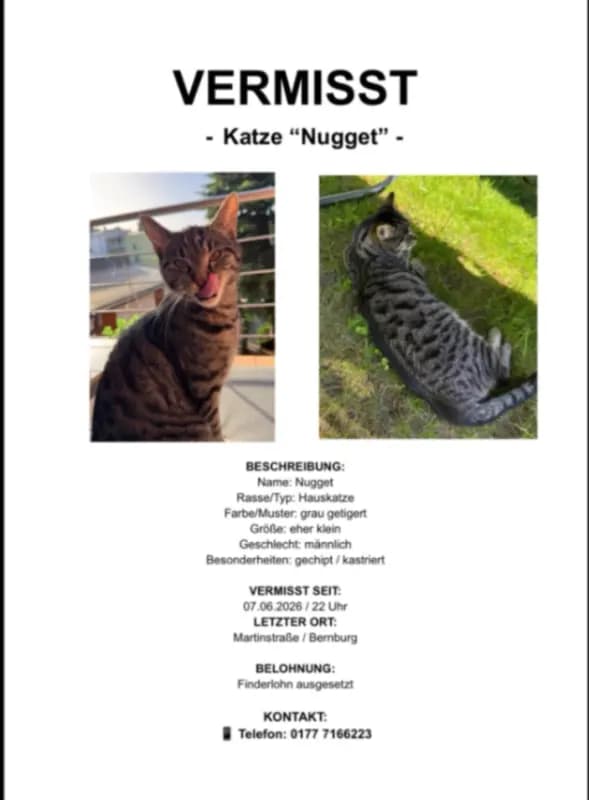 Nugget