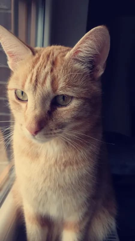 Charly