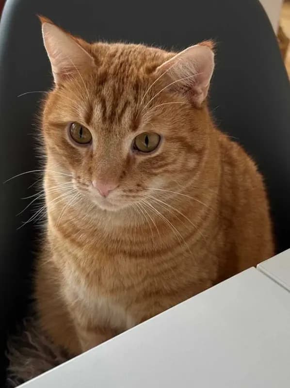 Jerry