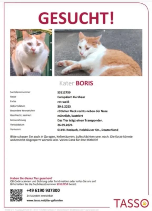 Boris