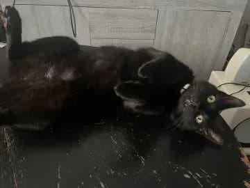 Truffle