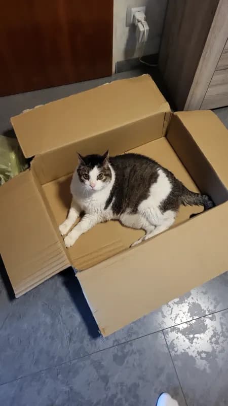 Odin