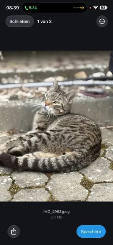 Simba