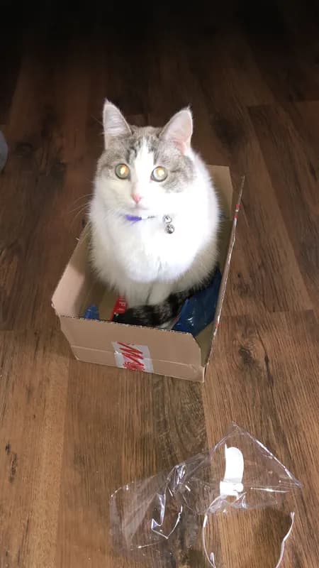 Mukky