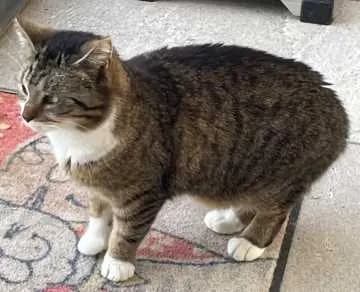 Max