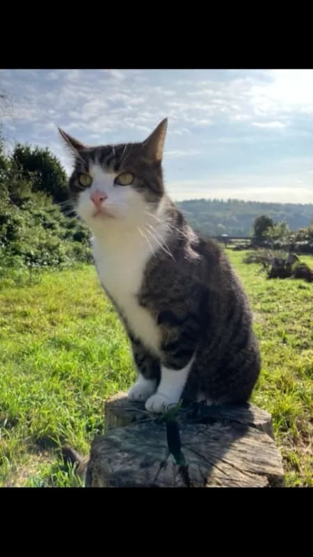Sammy